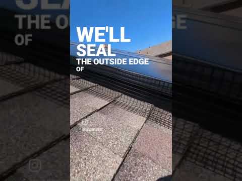 What’s living under your solar panels?.. 🧐 How to get rid of pigeons for good 🚫🐦 #solarpanels