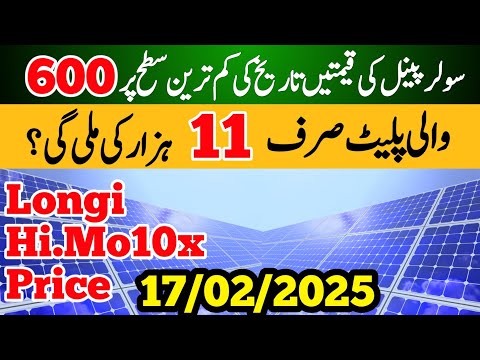 Solar Panel Price In Pakistan | Longi Hi Mo 10X Solar Panel Price | Price Dunia