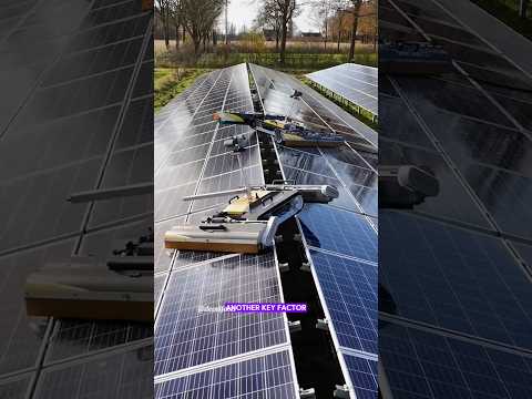 Robots Cleaning Solar Panels #shorts