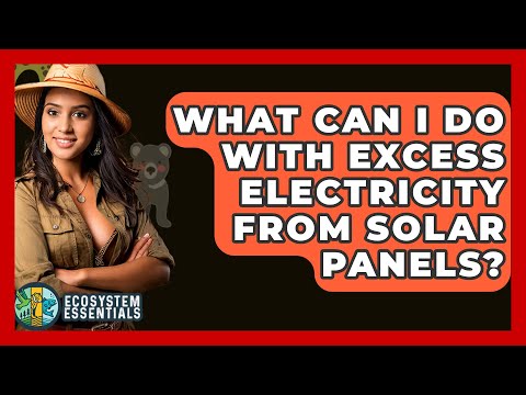 What Can I Do With Excess Electricity From Solar Panels? – Ecosystem Essentials