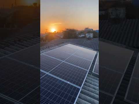 Solar panel cleaning brush