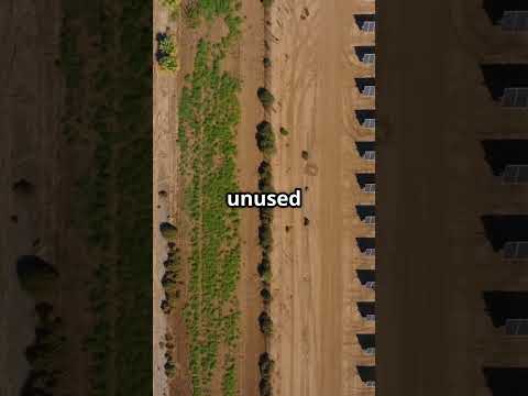 Elon Musk’s Big Idea! Can Solar Panels Power the Entire USA?