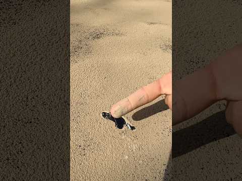 What is the best way to cleaning your solar panels?