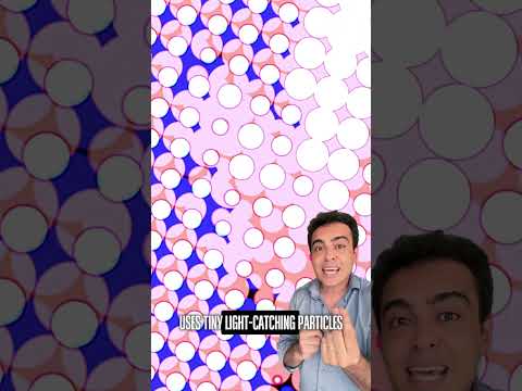 This Paint Turns Your Car Into a Solar Panel