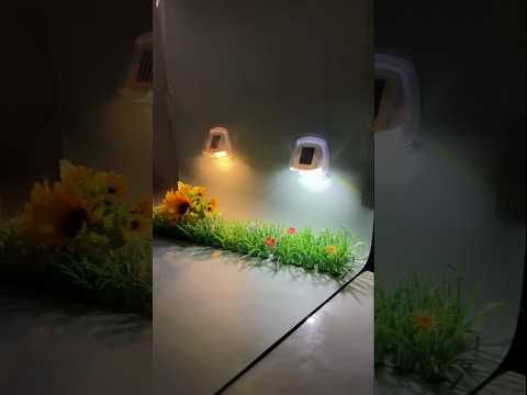 Wall Solar Light #gadgets #review #nature #ytshorts