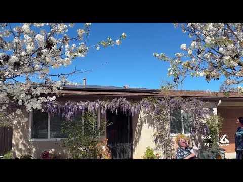 Those who added solar panels to their homes prior to the April 2023 deadline may have subsidies cut