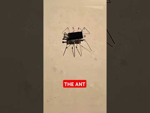 How to Make an Ant Robot Using a Solar Panel #science #shorts #trending #facts #experiment