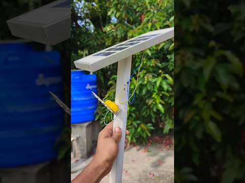 How to make a automatic solar light #experiment #elictrical #shorts