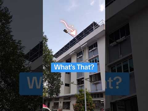 What’s that installed on roof tops? Solar panels?#funny #joke #singapore #rooftop  #solarpanel