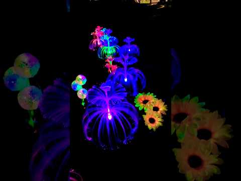 #Solar Garden Light #Solar Jellyfish Light