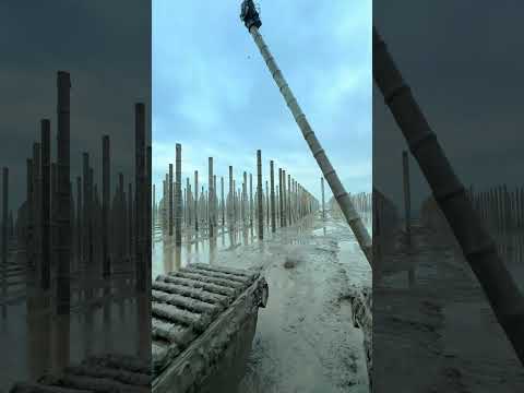 Excavator drives bamboo piles to install solar photovoltaic panels