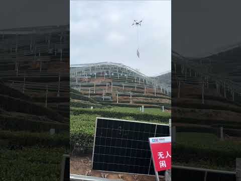 The workers are building a solar power station on the tea garden. Twice the income.