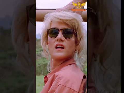 Best Installation Solar Panels Company #rupribha #solarenergy