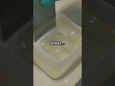 How to Make a DIY Solar Panel at Home! 🔧☀️ (It Actually Works!) #shorts