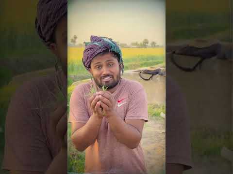 Solar Panel Tor Dia😱Part 3 || #shorts #viral #shortvideo #ytshort