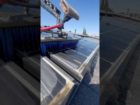 Solar panel cleaning in 2025