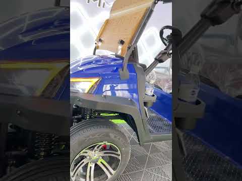 Lithium Battery Leisure Club Solar Panels 2 4 6 Seater Electric Golf Buggy Cart #golf cart #lithium