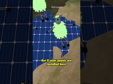 What if we cover Thar with solar panels? #india #shorts #rajasthan #thar