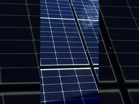 Mr Yummy Vs Solar Panels #mryummy #solarpanelcleaning #farming #greenenergy