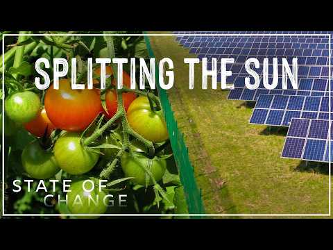 Can solar panels and crops share the sun in the same place? | State of Change: Solar Harvest
