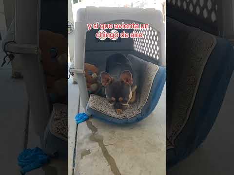 Upgrade your space with solar power solutions #solarpanel