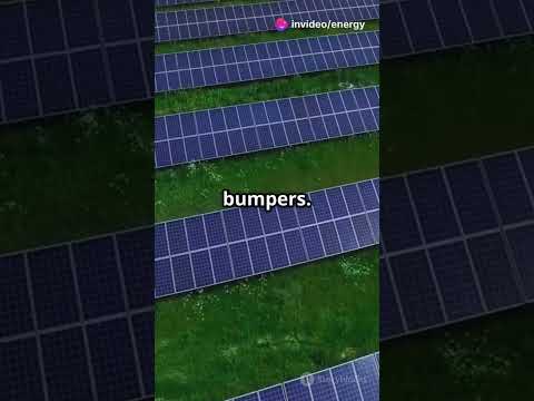 # solar panels.  🌟 “Educate, Innovate, and Conserve!”