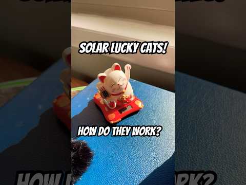 How solar lucky cats work! #luckycat #tech #taiwan