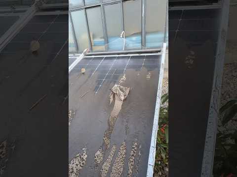 Hello!#solarpanel #solarsystem #homeautomation #cleaningsolarpanels #cleaning