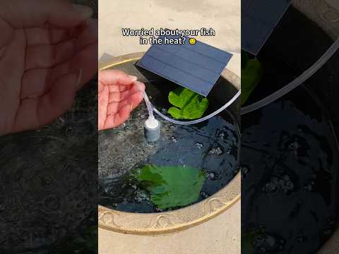Worried about your fish in heat? Try this solar oxygen pump! #garden #goodthing #diy