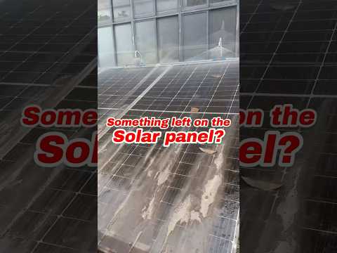 Can anyone tell me how to clean solar panels at the lowest cost?