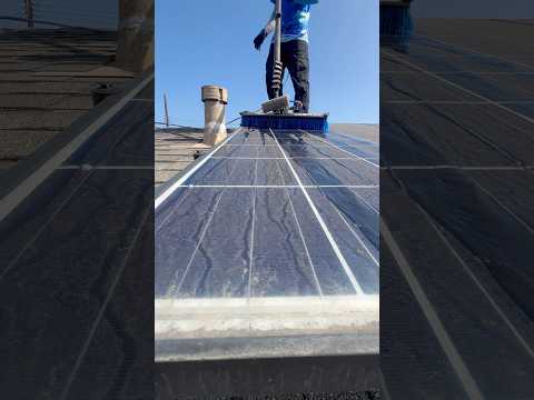 Morning solar panel cleaning!
