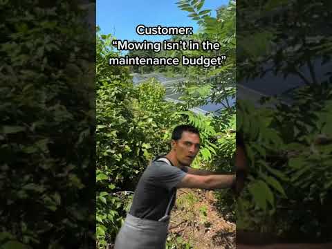 When your solar panels turn into a jungle 🌿