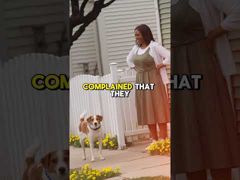 HOA Karen Fines Me for My Solar Panels—Says They Clash with the Roof