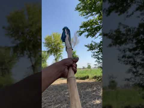 Solar panels ka program war Gaya #minivlog #solarpanels #renewableenergy #solarenergy #farming