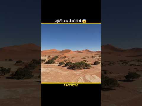 Sahara desert me solar panels 😱 #facts #factsinhindi #shorts