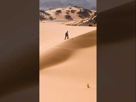 Solar panel cover the Desert