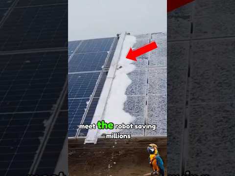 The Silent Robot Saving Solar Panels And Millions