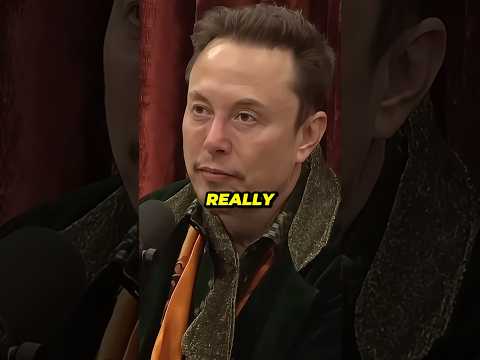 Powering The Entire USA with Solar Panels? 😳 #jre #joerogan #elonmusk #solarpanels #sun