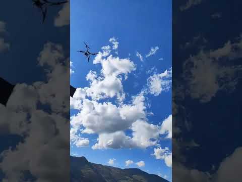 Training of UAV lifting photovoltaic panels #automobile #farming