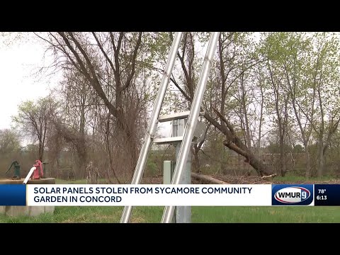 Solar panels stolen from Sycamore Community Garden in Concord, members say