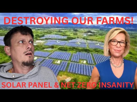 Net Zero & Solar Panel Insanity Hilariously Exposed by Katie Hopkins