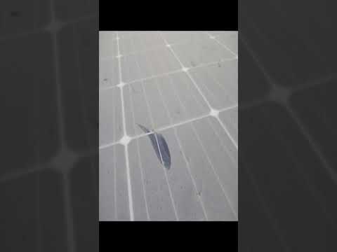Solar Panel Wash System             #diy  #SolarWashing #WashSolarPanels  #diysolarsystem #diysolar