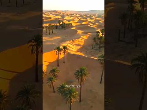 Saudi Arabia ka Laser Solar Panel Project 🔦☀️ #shorts #facts