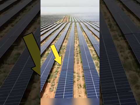 How China Cleans MILLIONS of Desert Solar Panels