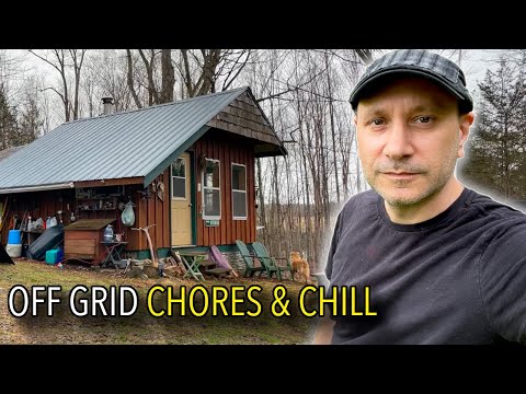 Day in the Life Off-Grid: Bees, Solar Power & Cabin Vibes