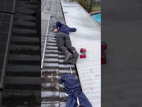 Python hiding in the solar panels!