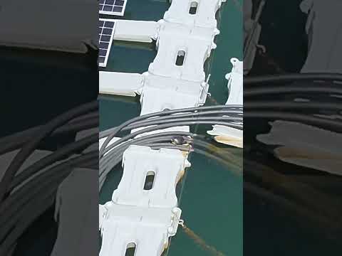 Floating Solar Panels Unexpected Surprise 😂 #shorts #solar #drone