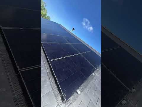 This home just joined the bright side—solar, battery, EV charger & savings all in one setup!😎