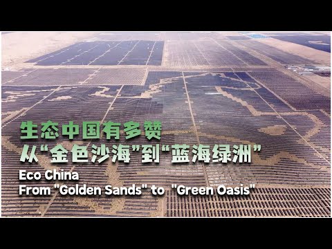 Eco China: From ‘golden sands’ to ‘green oasis’