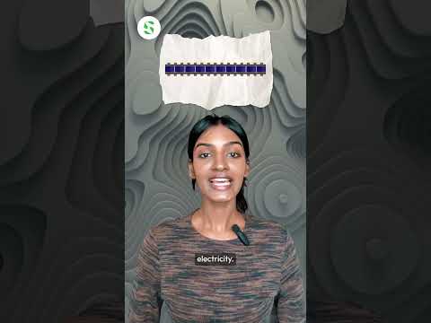 Solar Panels on Railway Tracks | Switzerland | Renewable Energy | Sustainability